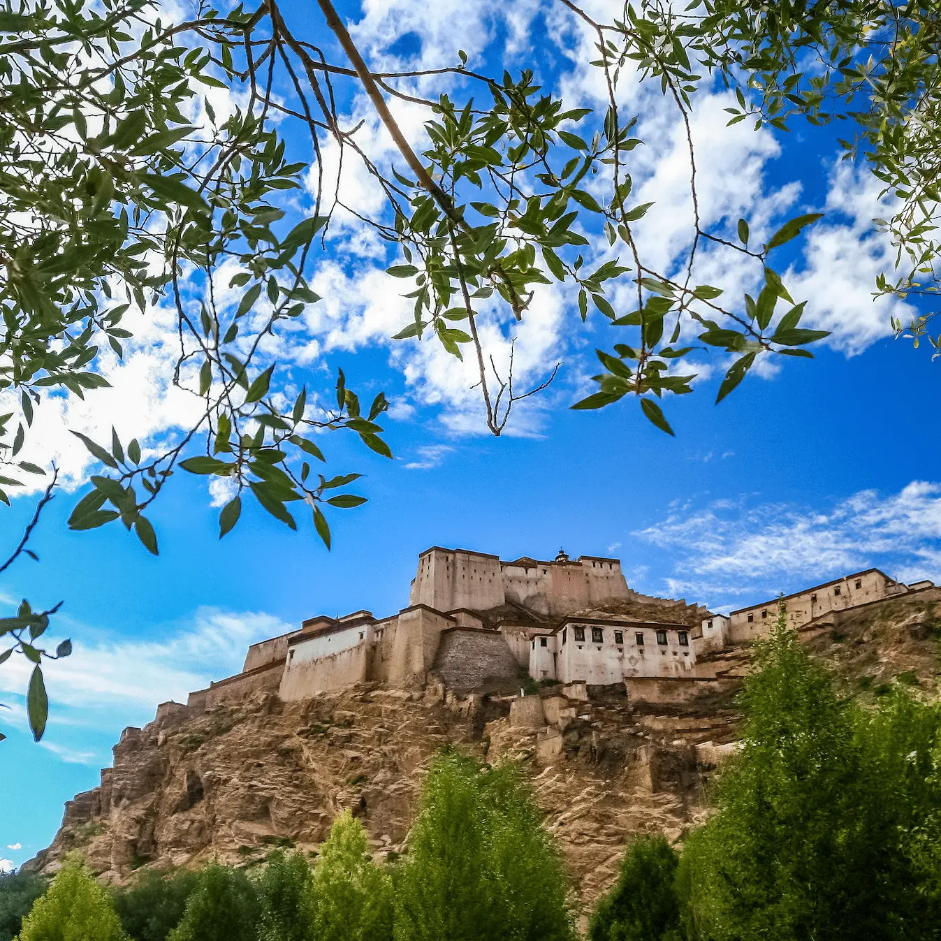 ranthambore fort