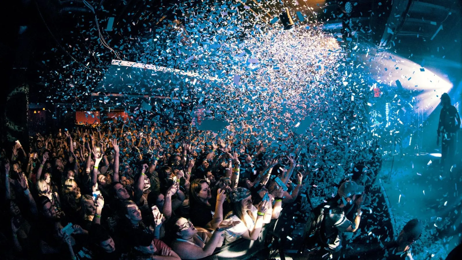 Best Jungle Safari In Rajasthan In Winter