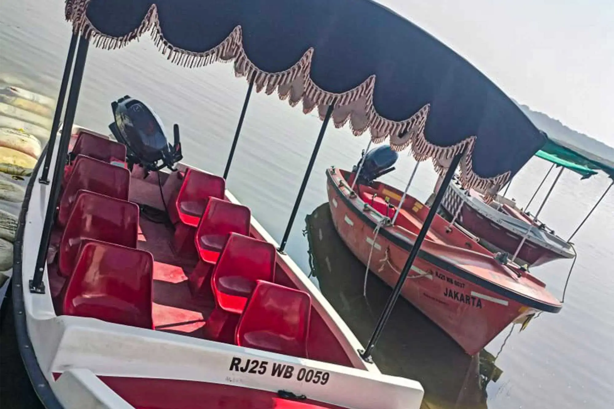 chambal wildlife safari