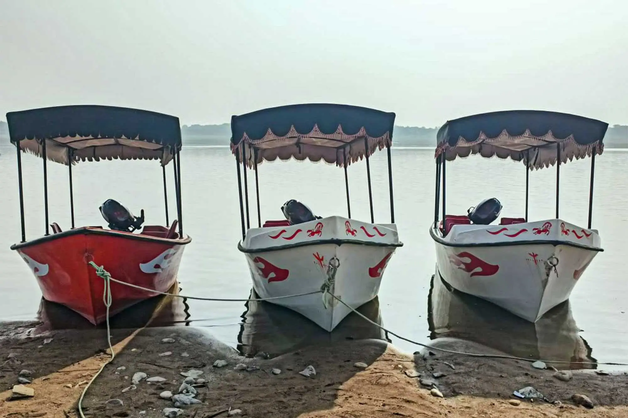 chambal boat safari