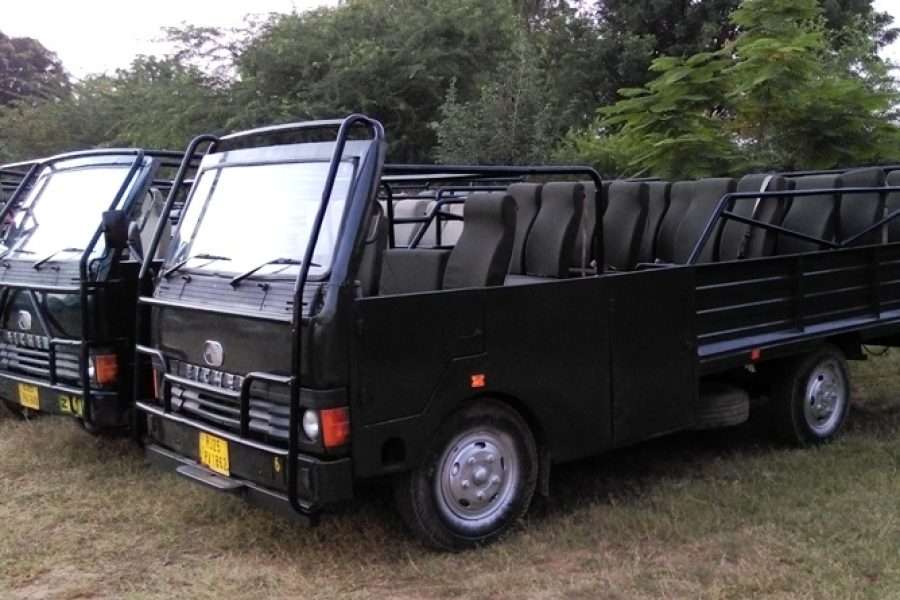 Canter Safari In Ranthambore