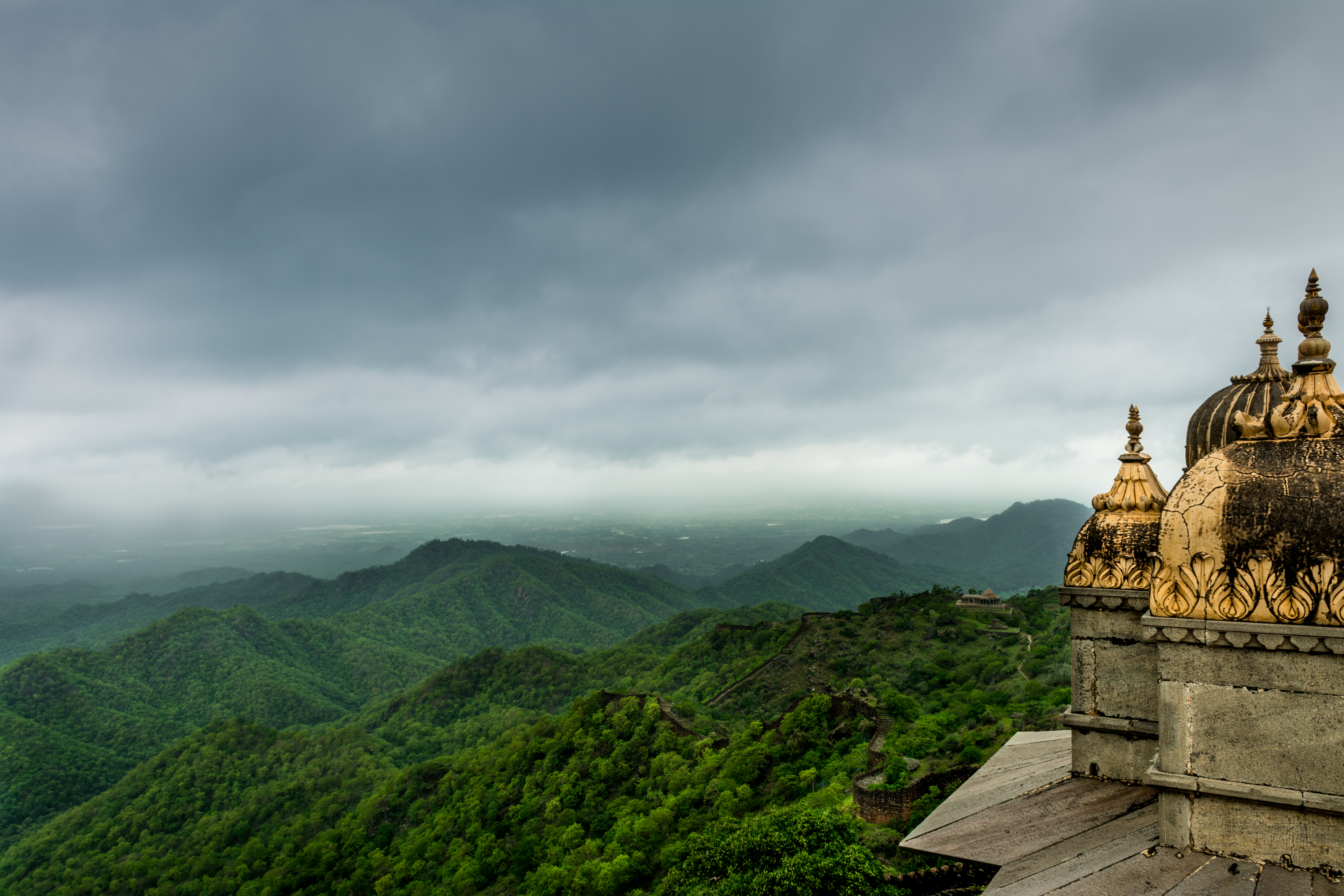best wildlife sanctuary near udaipur