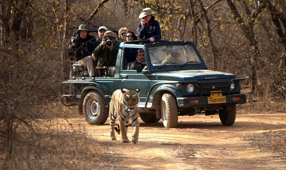 Ranthambore Jeep Safari Booking Online