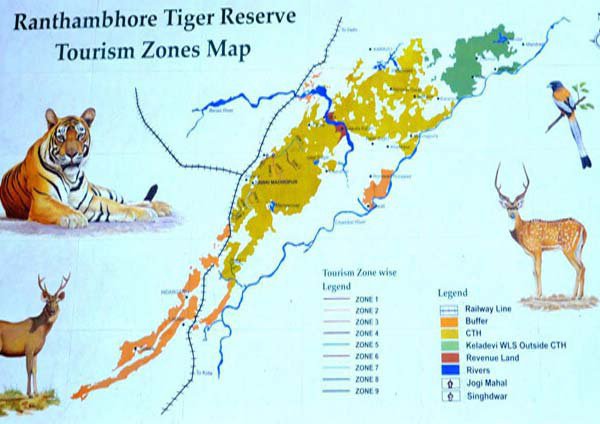 Tiger Safari Zones in Ranthambore National Park
